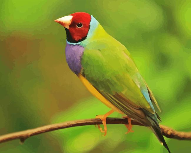 https://diamondpainting5d.com/wp-content/uploads/2024/03/Gouldian-Finch-Diamond-With-Numbers.png