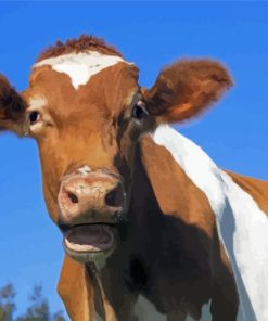 Guernsey Cow Diamond Painting