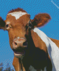 Guernsey Cow Diamond Painting