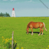 Horses with Lighthouse Diamond Painting