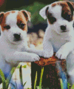 Parson Russell Terrier Diamond Painting