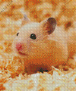 Syrian Hamster Diamond Painting