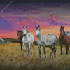 Western Horses Diamond Painting