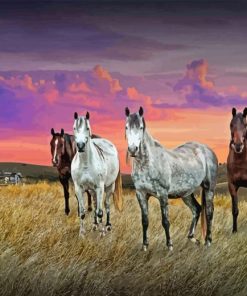 Western Horses Diamond Painting