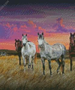 Western Horses Diamond Painting