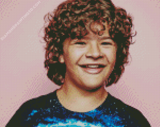 Gaten Matarazzo Diamond Painting