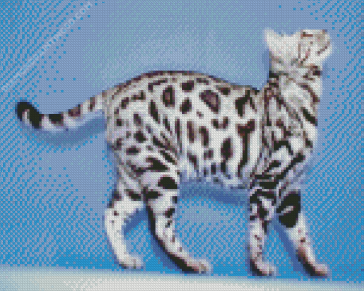 White Bengal Cat Diamond Painting