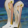 Pelican Birds Diamond Painting