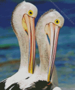 Pelican Birds Diamond Painting