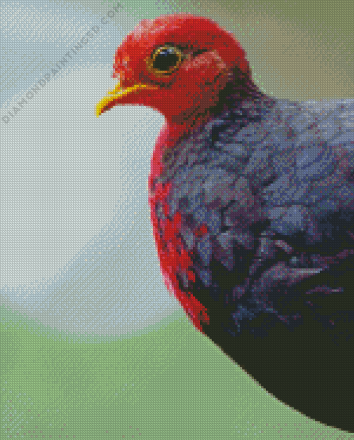 Crimson Headed Partridge Diamond Painting