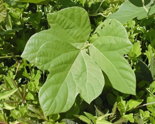 Kudzu Diamond Painting