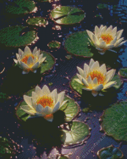 White Water Lilies Diamond Painting