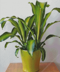 Dracaena Diamond Painting