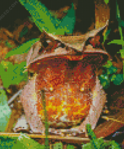 Horned Frog Diamond Painting