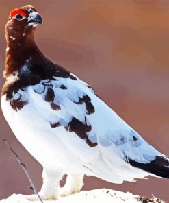 Willow Ptarmigan Diamond Painting