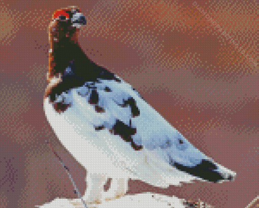 Willow Ptarmigan Diamond Painting