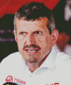 Guenther Steiner Diamond Painting