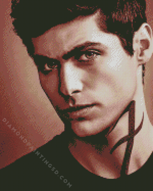 Shadowhunters Alec Lightwood Diamond Paintings