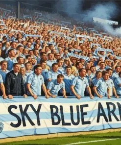 Coventry City Football Club Art Diamond Painting