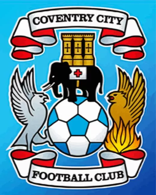 Coventry city football club paint by number Coventry City Football Club Diamond Painting