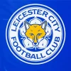 Leicester City Art Diamond Painting